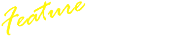 チアフェスの特長 01