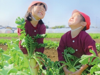 ★収穫体験★
収穫体験を通して食への理解を深める