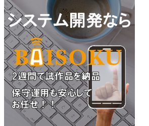 ＩＴソリューションのBAISOKU