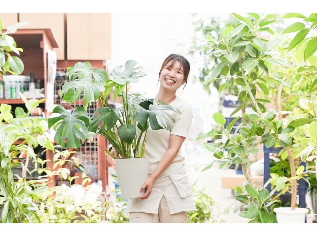 【25卒】植物と触れ合う１Day仕事体験　＃お土産つき写真 1