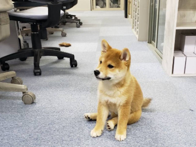 最短1年半で独立！　創業45年の地域特化企業で”最短独立”目指す！写真 2