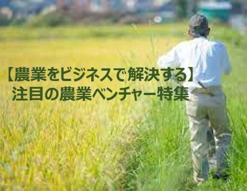 【農業をビジネスで解決する】注目の農業ベンチャー特集