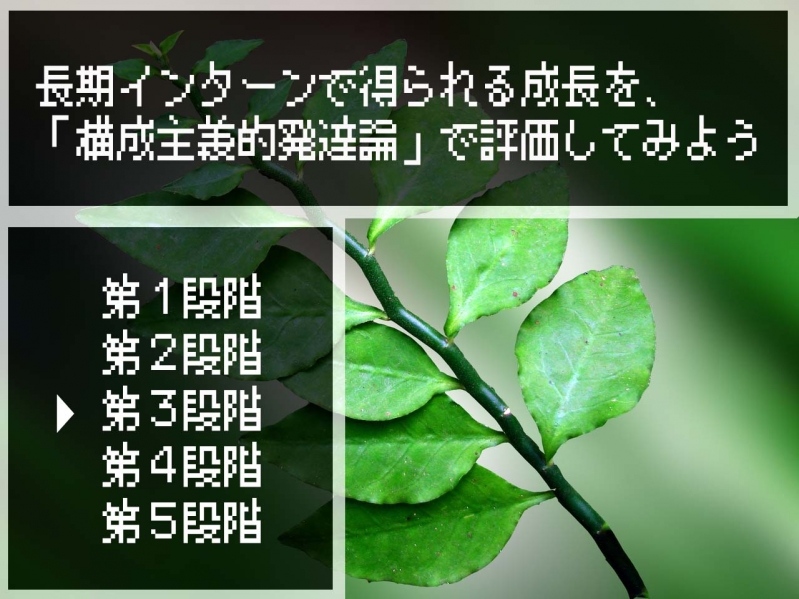 長期インターンで得られる成長を、「構成主義的発達論」で評価してみよう