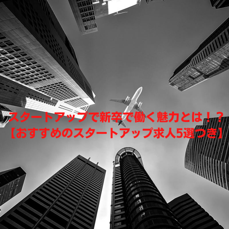 スタートアップで新卒で働く魅力とは！？ 【おすすめのスタートアップ求人5選つき】