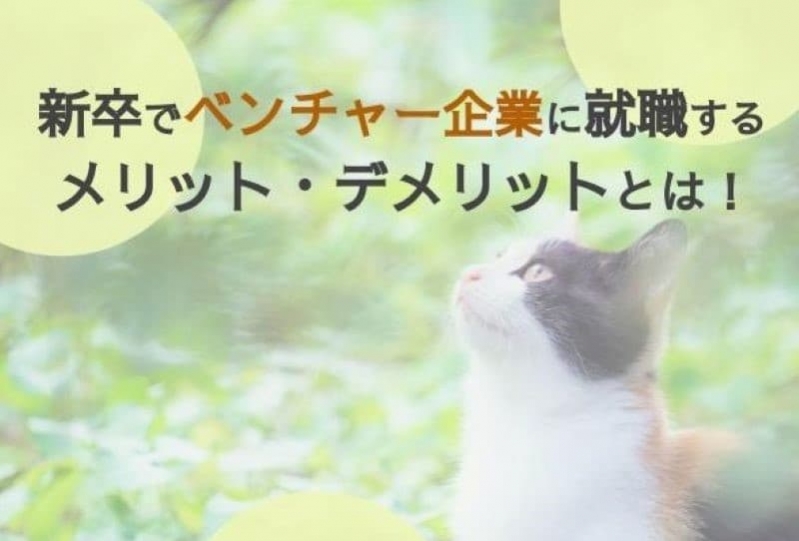 【27卒】新卒でベンチャー企業に就職するメリット・デメリットを徹底解説