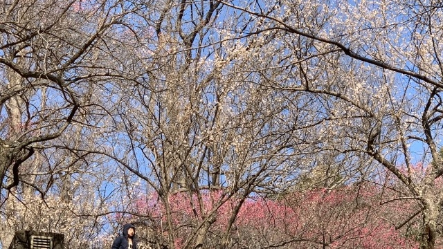 【人事部の独り言】当たり前の価値観は人によって違う