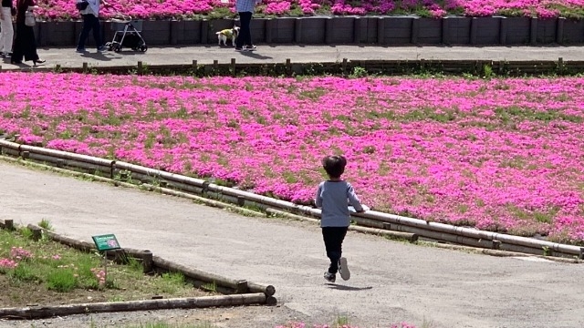 【人事部の独り言～夫編】可愛い子には旅をさせよ
