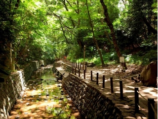 都内のオアシス