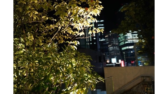 20卒・内定式＆懇親会