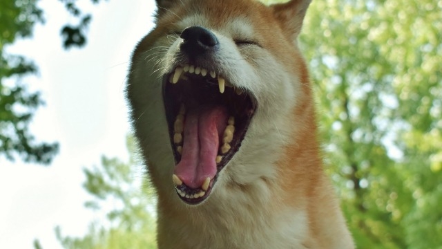 めんどくさい時こそ動く