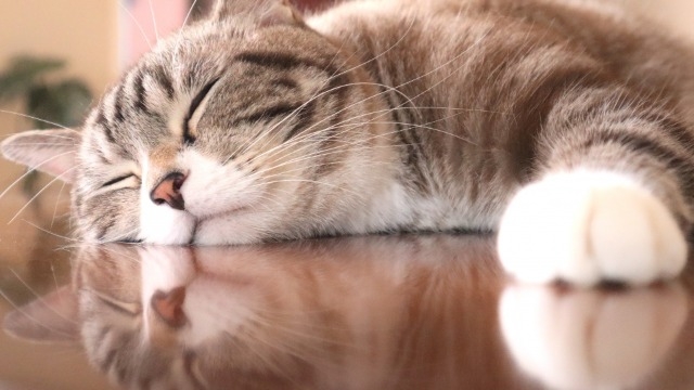 心理的安全性ってしってる？