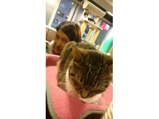 女子会～猫カフェ～