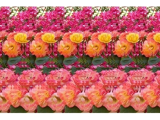 見えるかな？！ステレオグラムにチャレンジ！！