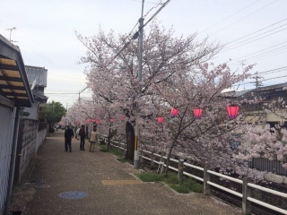 学生最後の、、、