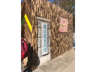 収穫祭に行ってきました♪