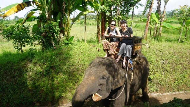 1日8000歩で健康に！