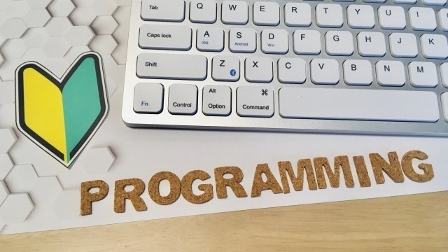 IT未経験が何故SLJに入社しようと思ったか