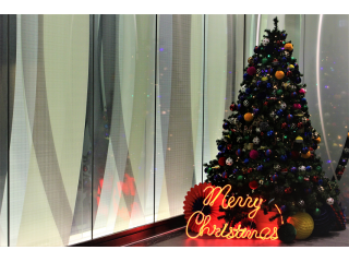 18内定者目線のシアトルの魅力とは？