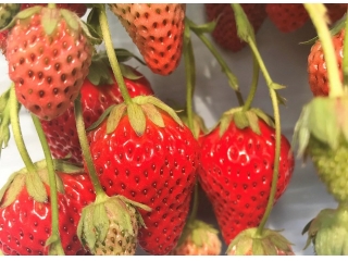 風邪を速攻で治す方法とは…？