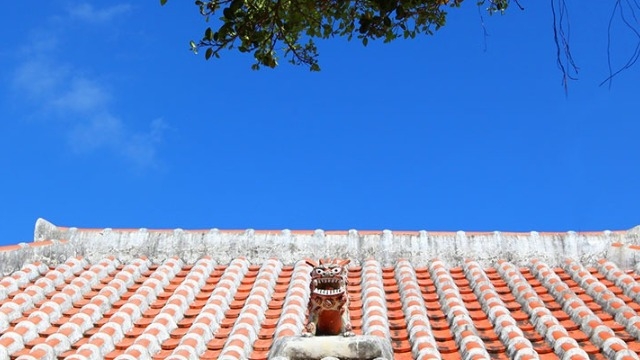 就活遠征していた私にとって羨ましいというお話