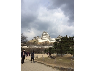 世界遺産、見物。※写真あり