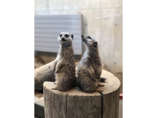 出会いと別れの季節