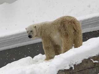 水分必須！