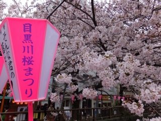 本日公開！《4月説明会日程のご案内》