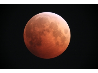 本日は「スーパー・ブルー・ブラッドムーン」の日