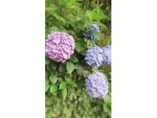 梅雨のリフレッシュ