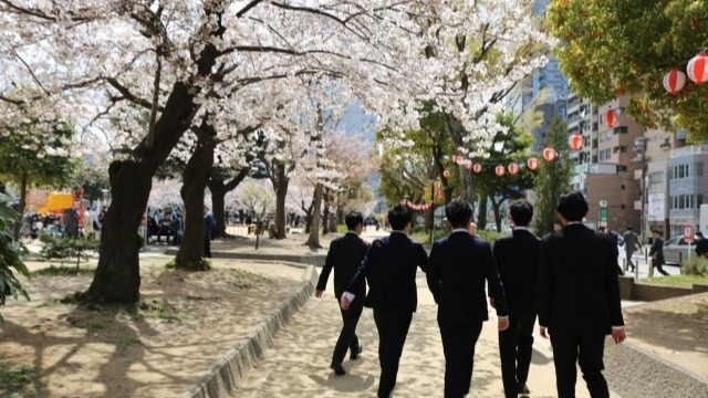 桜の咲く時期、説明会開催中です♪