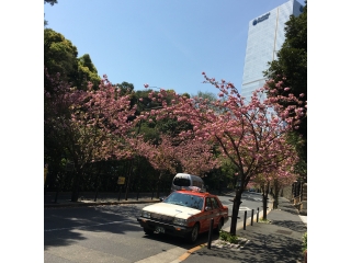 先輩の「プロ意識」