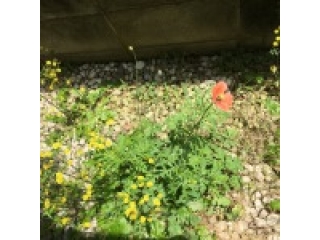 5月病対策に全力を