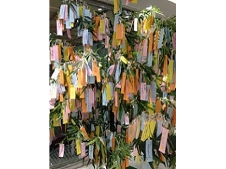 今日は7月7日…ということは！