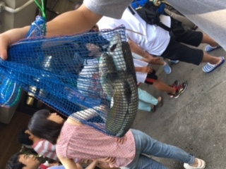 そういうことです。ゆうこちゃん。