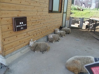 今日は8月ラスト金曜日！！