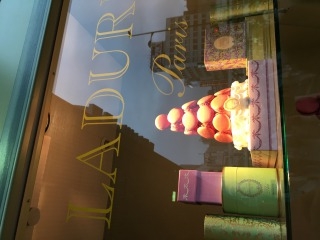 見た目も名前もかわいいです！