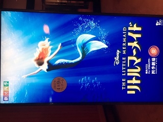 トンガリコーン