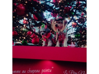 よいクリスマスを☆