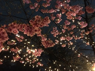 火曜日、道明さん♡