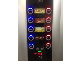 スター誕生！？