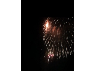 ピカチュウを感じてください。