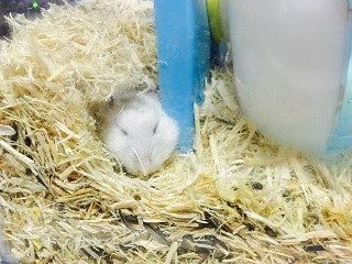 明日からしばしのお別れです、、、