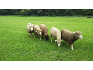 夏休みいただきました