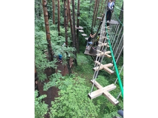 信玄餅について勉強