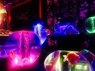 噂のお風呂カフェ