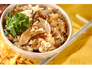 今日のフュージョニア～○○の秋～