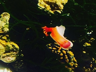 夜の公園、、、