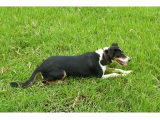 季節の変わり目