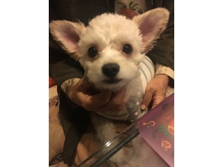 10月突入しました！